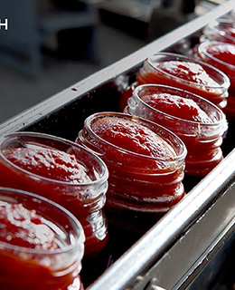 Food Processing
