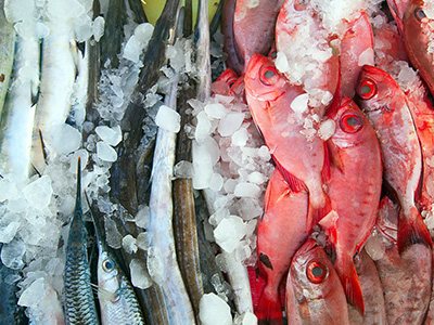 Sea Food
