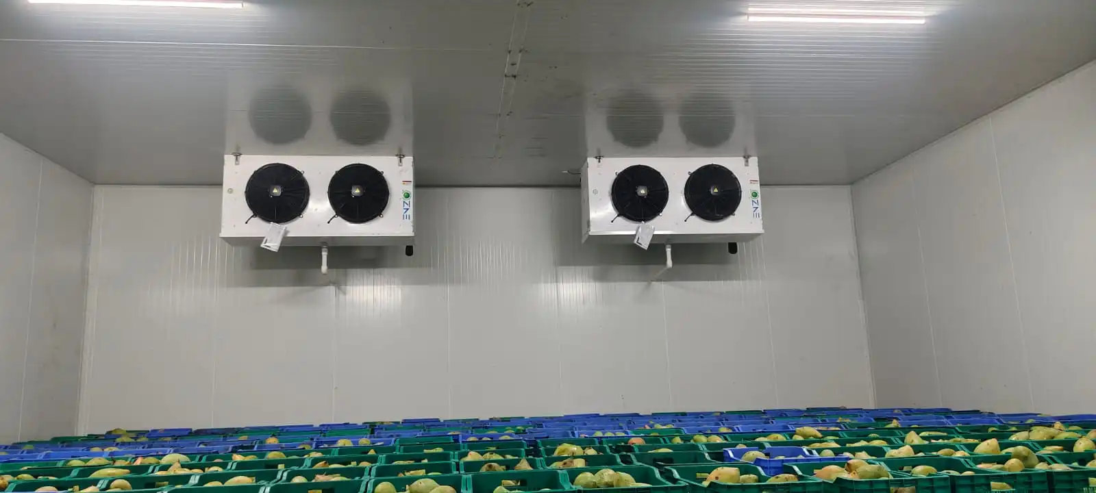 Fruit & Vegetable Storage