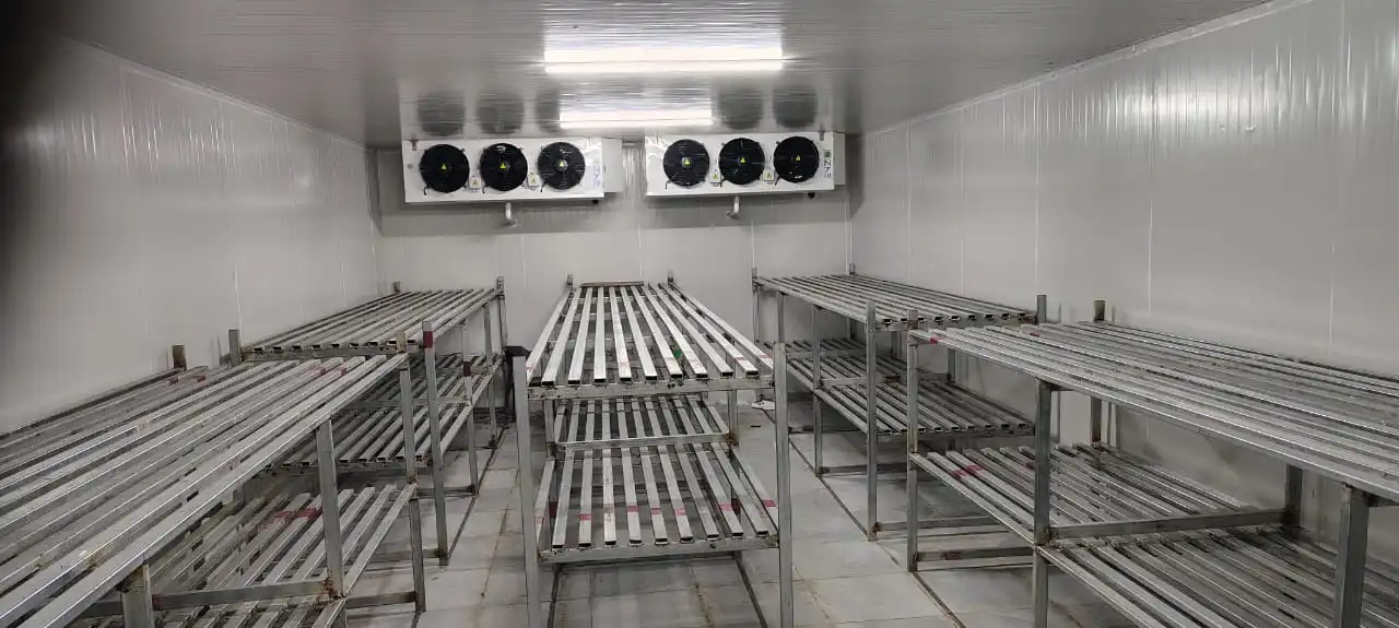 Cold Room Storage