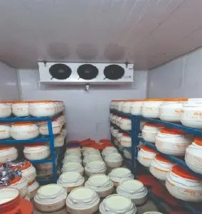 Curd Blast